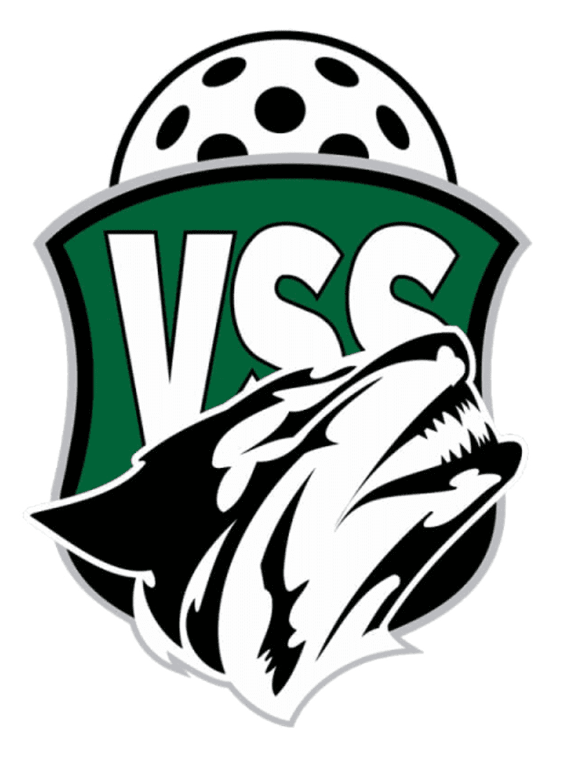 VSS Vihdin Salisudet seuran logo
