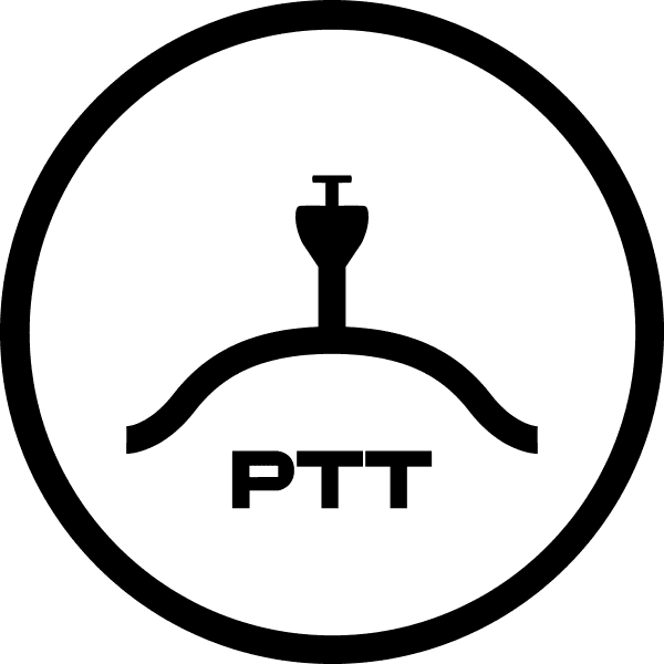 PUIJO TENNIS TEAM seuran logo