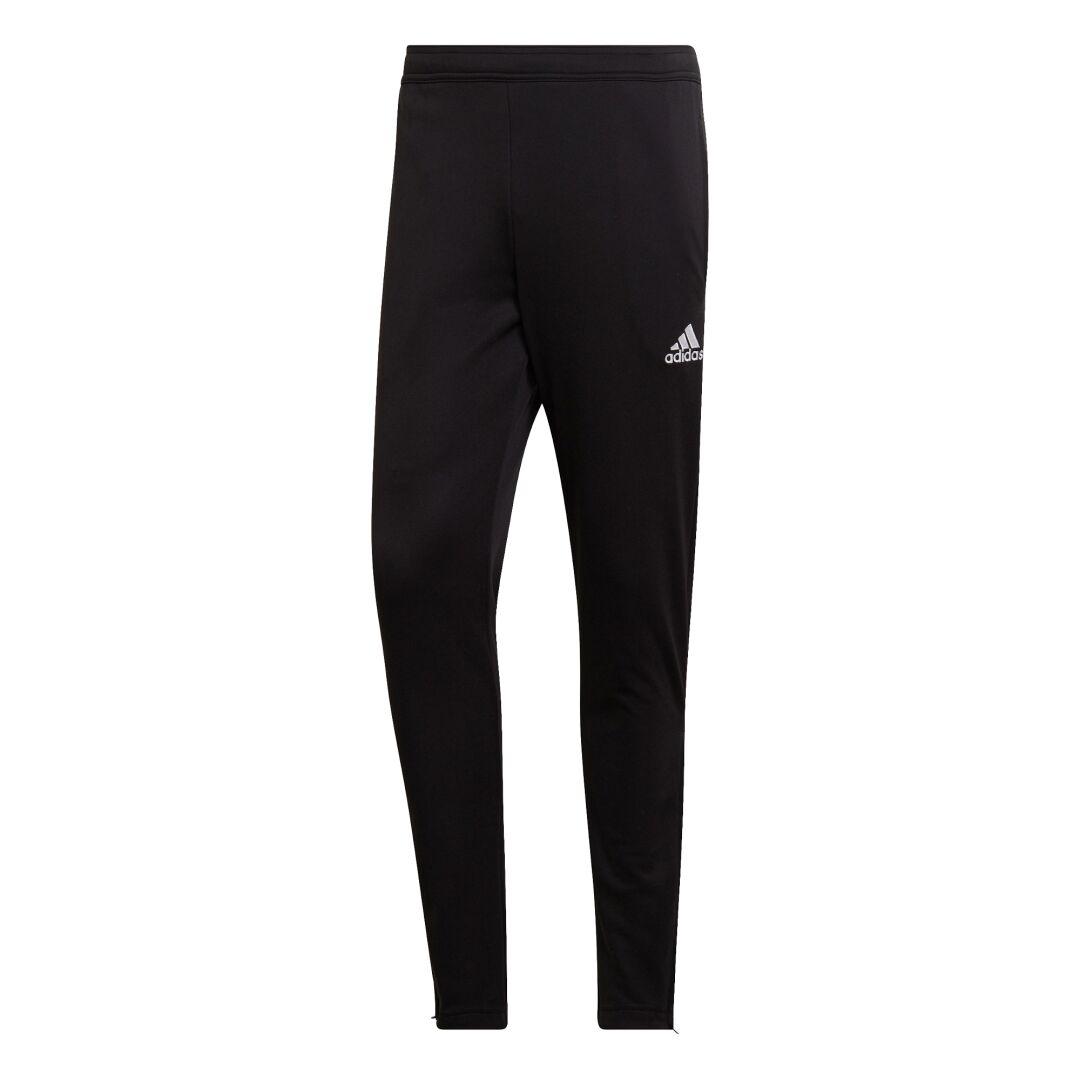 adidas Ent22 Tr Pant