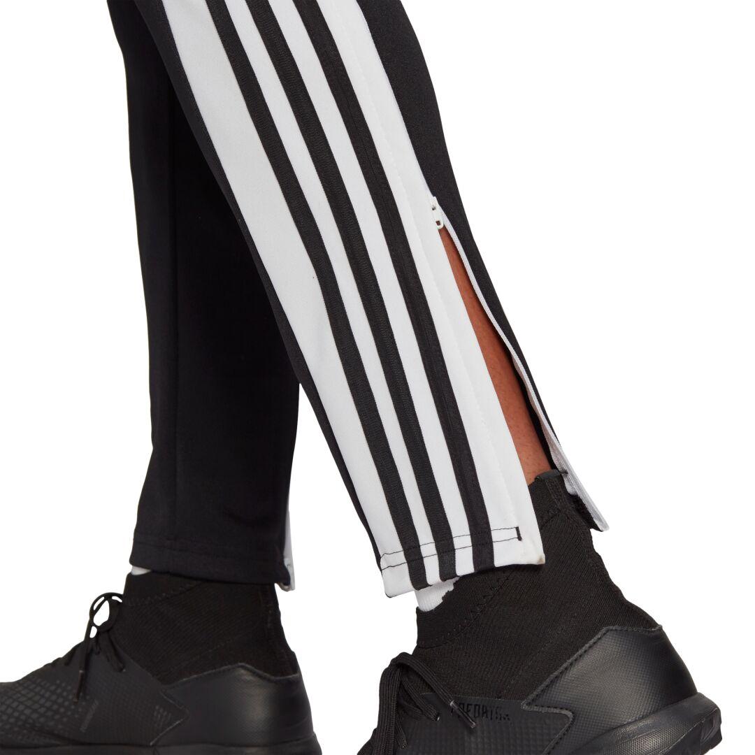 adidas Squadra 21 Training Pant