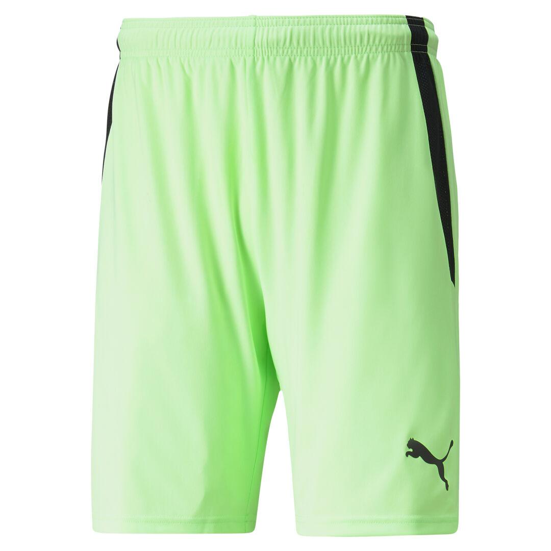 Puma teamLIGA Shorts