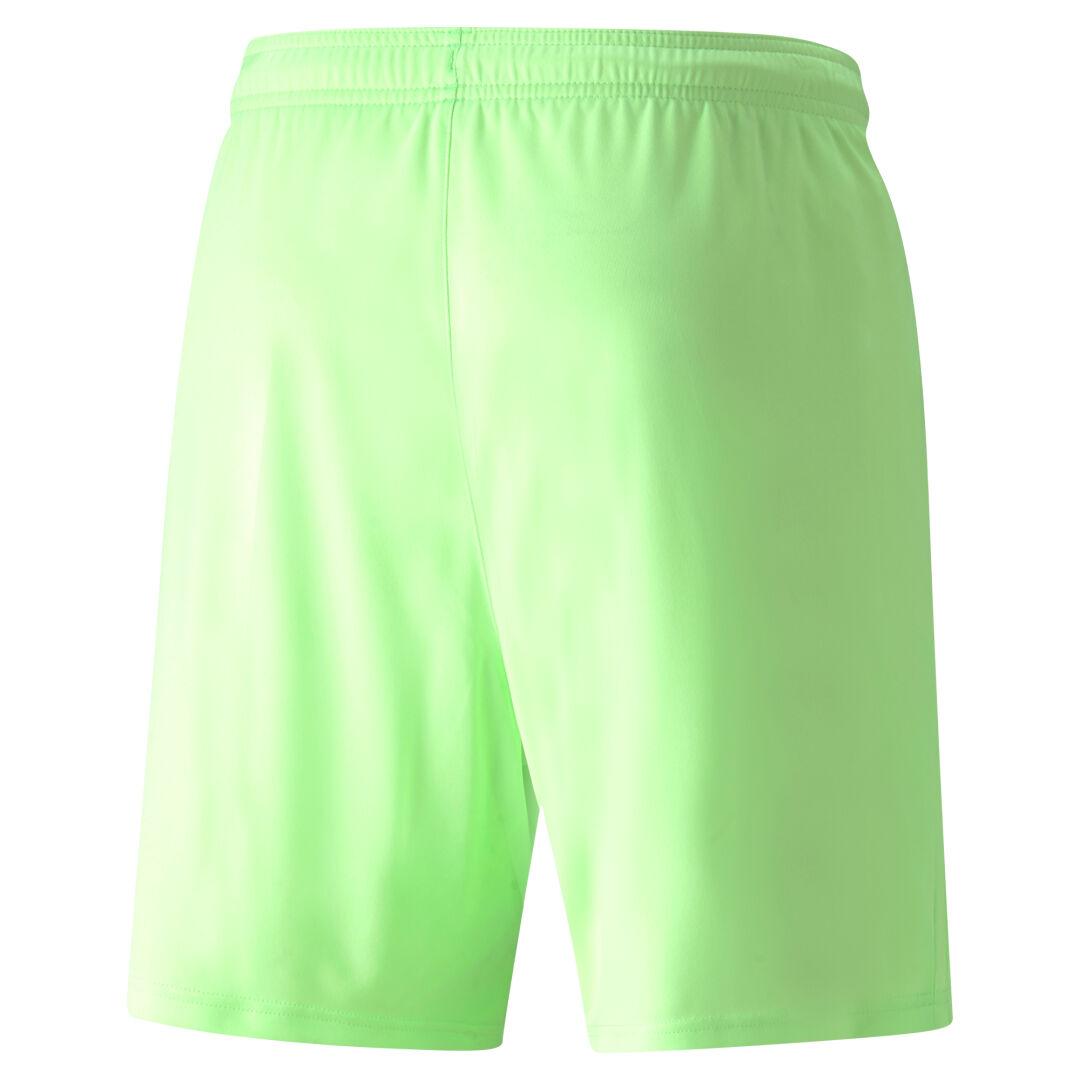 Puma teamLIGA Shorts