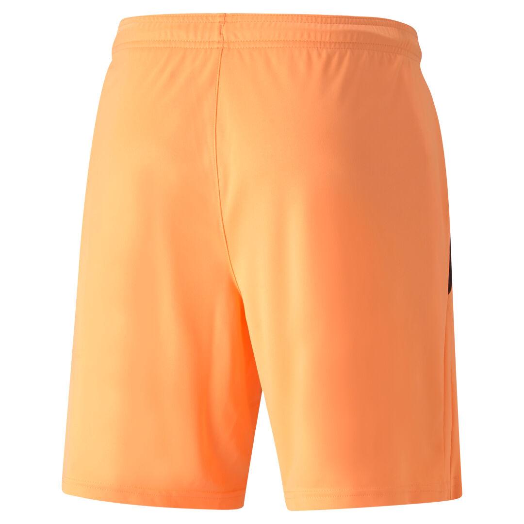 Puma teamLIGA Shorts