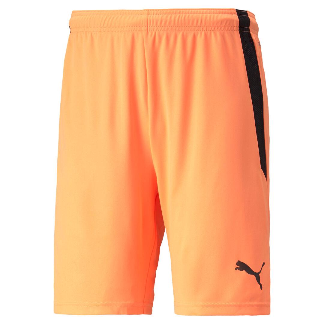 Puma teamLIGA Shorts